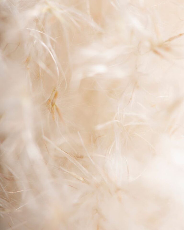 Comment se libérer de son passé ?