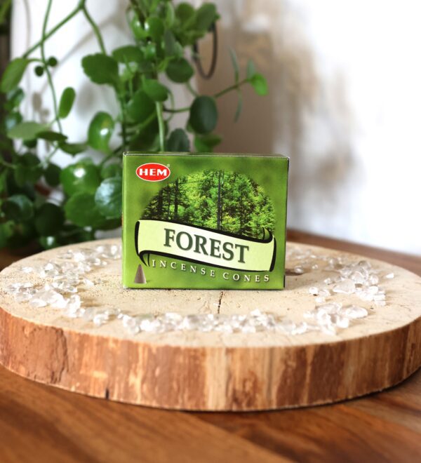 Encens HEM cônes Forest