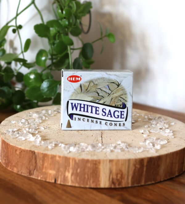 Encens HEM cônes Sauge blanche