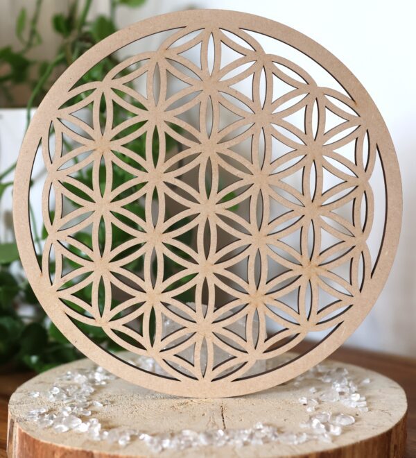 Fleur de vie 20cm sculptée en bois